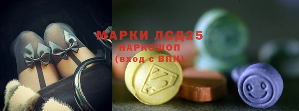 хмурый Осинники