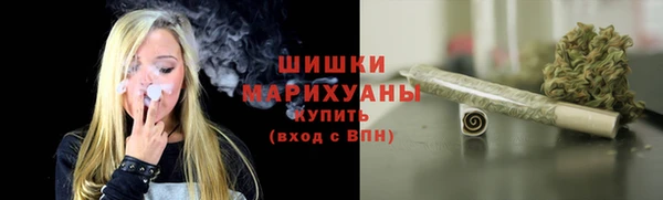 хмурый Осинники