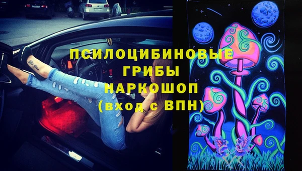 ешки Богородск
