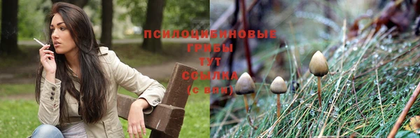 PSILOCYBIN Осташков
