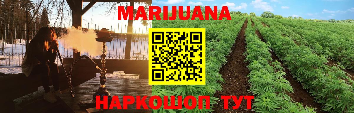 Канабис конопля Краснознаменск